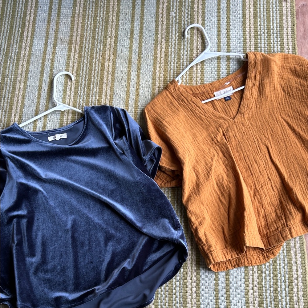 Madewell Black Velvet and Brown Textured Blouses